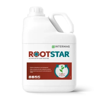 ROOT STAR