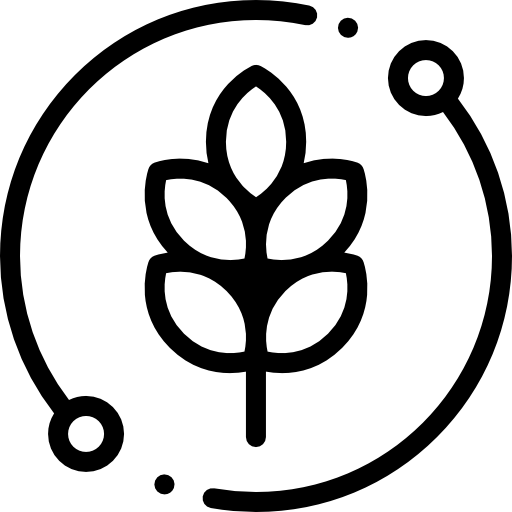 Card Icon